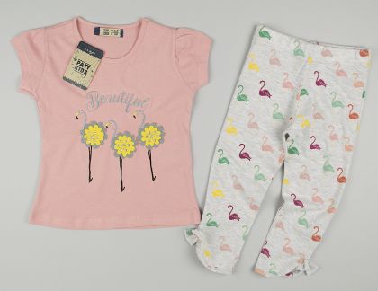 ❤️ Комплект фламинга 