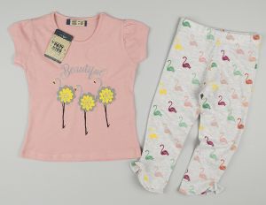 ❤️ Комплект фламинга 